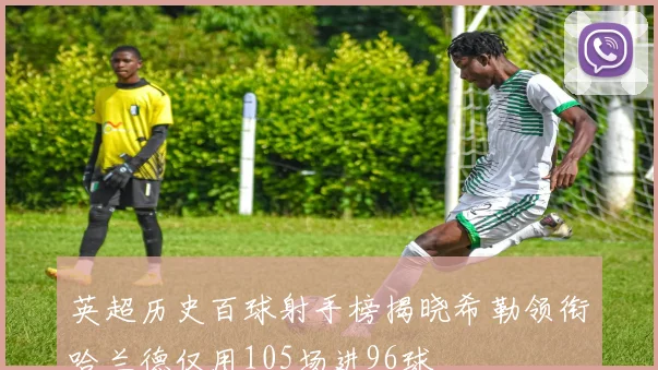 英超历史百球射手榜揭晓希勒领衔哈兰德仅用105场进96球