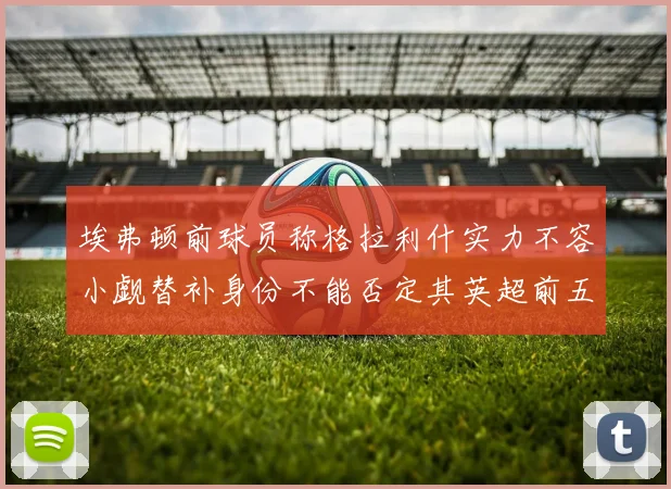 埃弗顿前球员称格拉利什实力不容小觑替补身份不能否定其英超前五地位