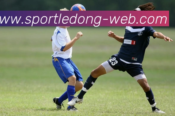 乐动体育APP 高清赛事图